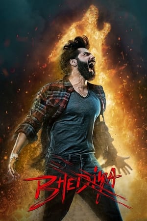 Bhediya 2022 Hindi Movie – HD Poster Download - filmyfly