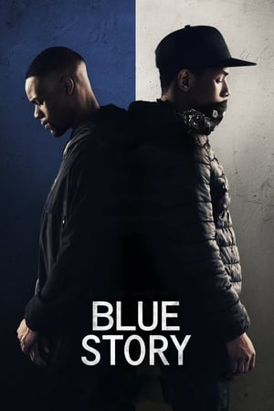 Blue Story (2019) Hindi Dual Audio – HD Poster Download - filmyfly