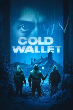 Cold Wallet (2025) Hindi (MULTI AUDIO) – – HD Poster Download - filmyfly