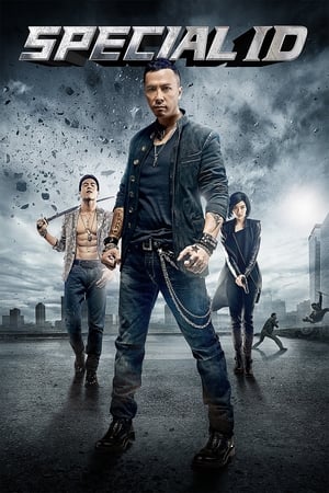 Special ID (2013) Hindi Dual Audio [1.3GB] ESubs HD Poster Download - filmyfly